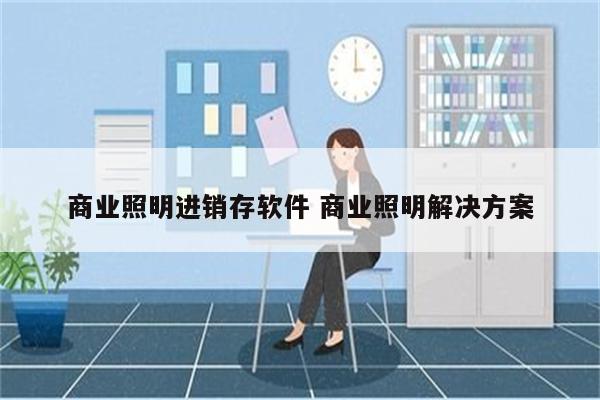 商业照明进销存软件 商业照明解决方案