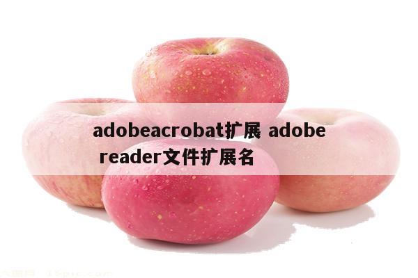 adobeacrobat扩展 adobe reader文件扩展名