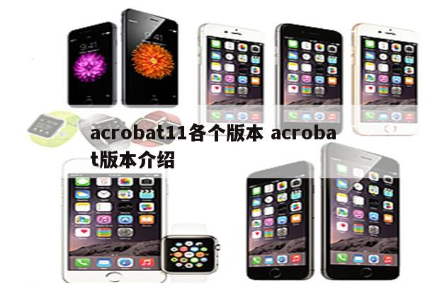 acrobat11各个版本 acrobat版本介绍