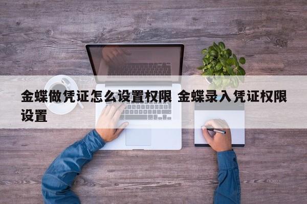 金蝶做凭证怎么设置权限 金蝶录入凭证权限设置