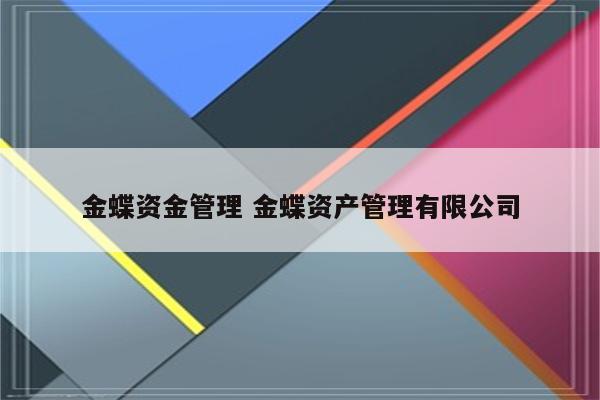 金蝶资金管理 金蝶资产管理有限公司