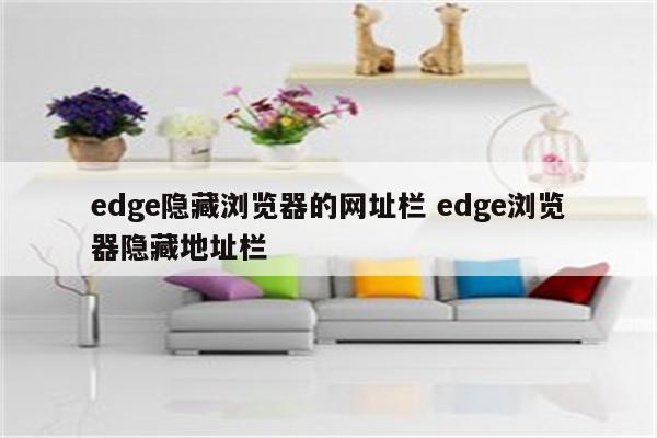 edge隐藏浏览器的网址栏 edge浏览器隐藏地址栏