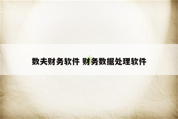 数夫财务软件 财务数据处理软件