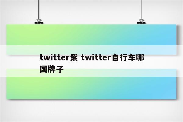 twitter紫 twitter自行车哪国牌子