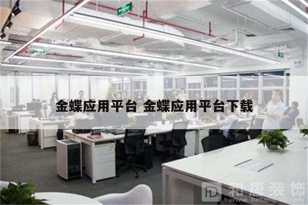 金蝶应用平台 金蝶应用平台下载