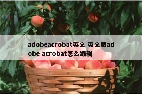 adobeacrobat英文 英文版adobe acrobat怎么编辑