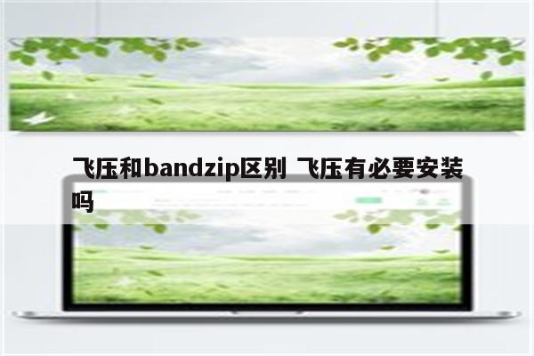 飞压和bandzip区别 飞压有必要安装吗