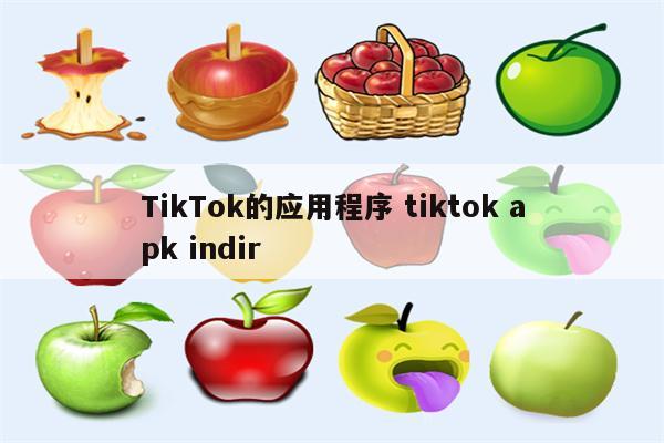 TikTok的应用程序 tiktok apk indir