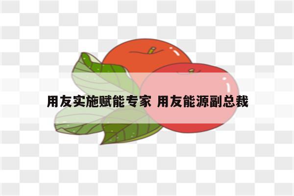用友实施赋能专家 用友能源副总裁