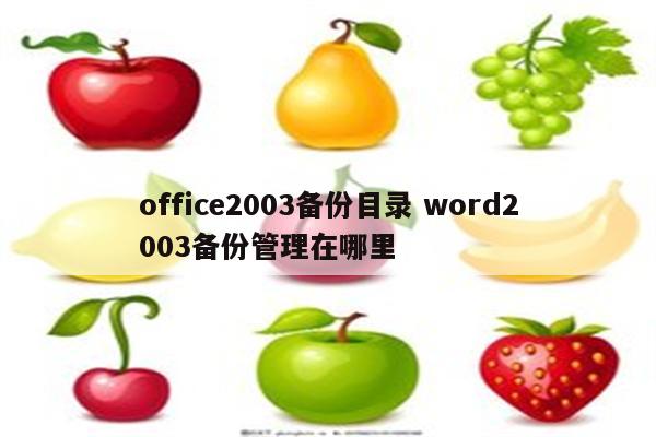 office2003备份目录 word2003备份管理在哪里