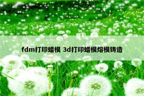 fdm打印蜡模 3d打印蜡模熔模铸造