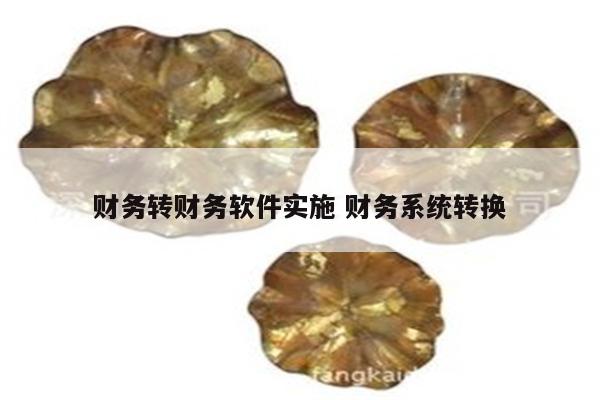财务转财务软件实施 财务系统转换