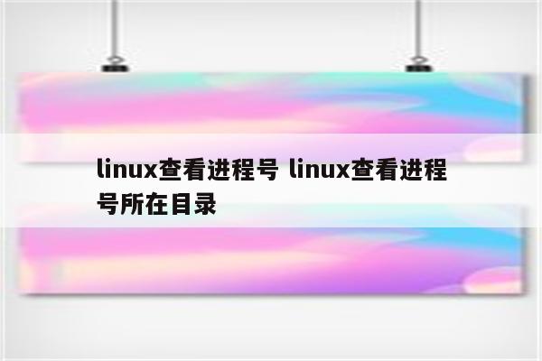 linux查看进程号 linux查看进程号所在目录
