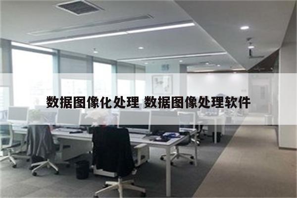 数据图像化处理 数据图像处理软件