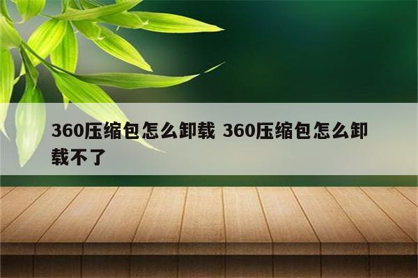 360压缩包怎么卸载 360压缩包怎么卸载不了