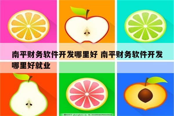 南平财务软件开发哪里好 南平财务软件开发哪里好就业