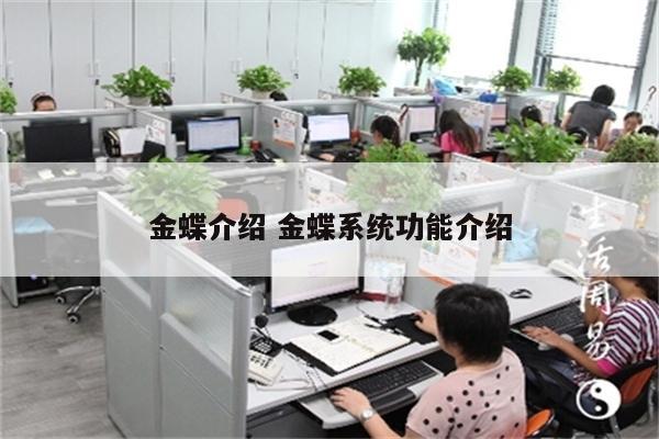 金蝶介绍 金蝶系统功能介绍
