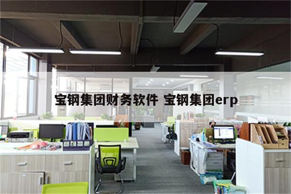 宝钢集团财务软件 宝钢集团erp