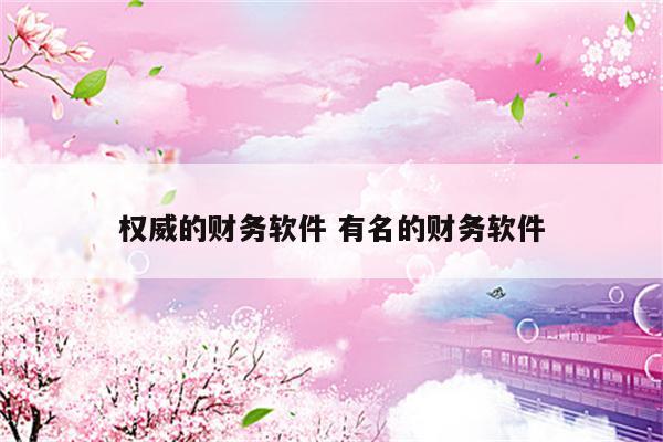 权威的财务软件 有名的财务软件