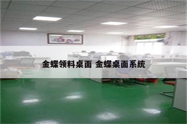 金蝶领料桌面 金蝶桌面系统