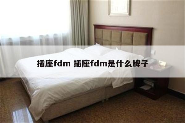 插座fdm 插座fdm是什么牌子