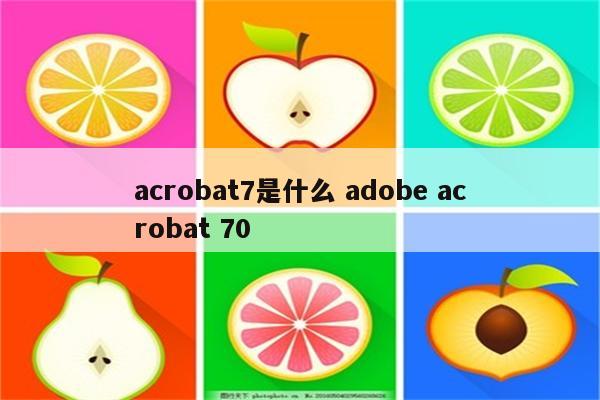 acrobat7是什么 adobe acrobat 70