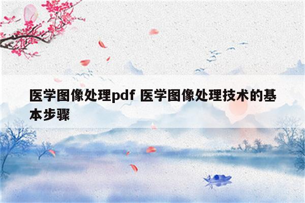 医学图像处理pdf 医学图像处理技术的基本步骤
