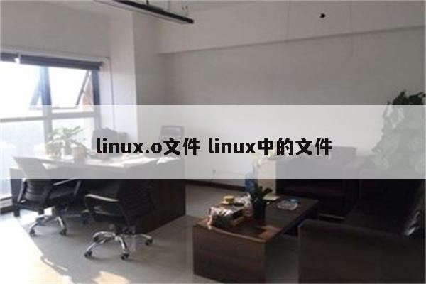 linux.o文件 linux中的文件