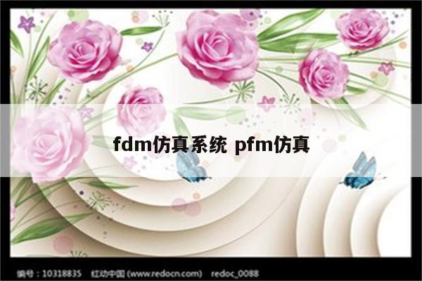 fdm仿真系统 pfm仿真
