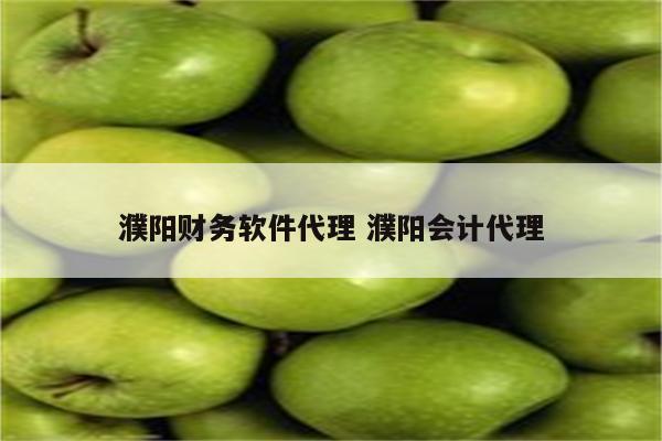 濮阳财务软件代理 濮阳会计代理