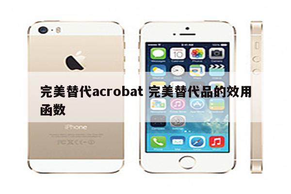 完美替代acrobat 完美替代品的效用函数