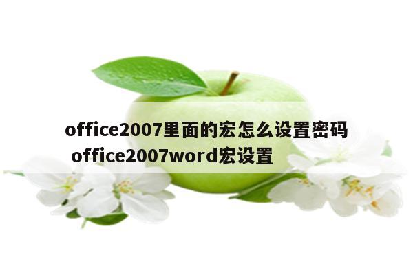 office2007里面的宏怎么设置密码 office2007word宏设置