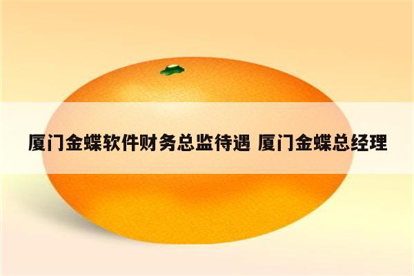 厦门金蝶软件财务总监待遇 厦门金蝶总经理