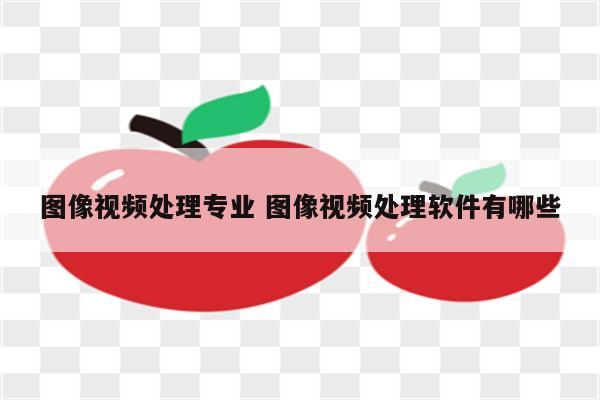 图像视频处理专业 图像视频处理软件有哪些