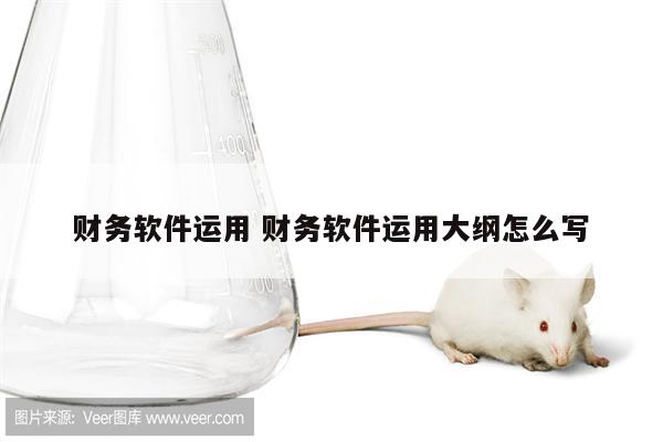 财务软件运用 财务软件运用大纲怎么写