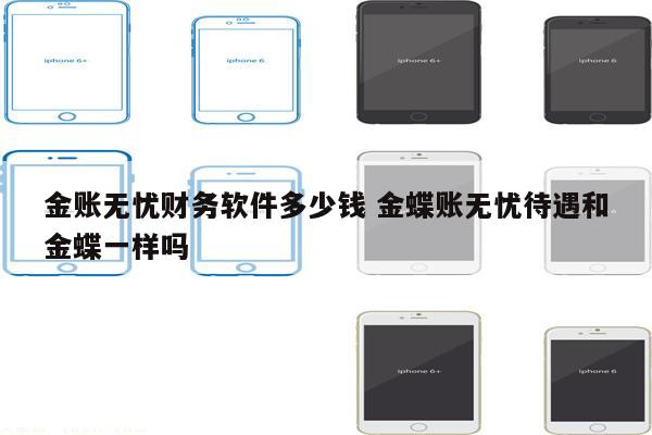 金账无忧财务软件多少钱 金蝶账无忧待遇和金蝶一样吗