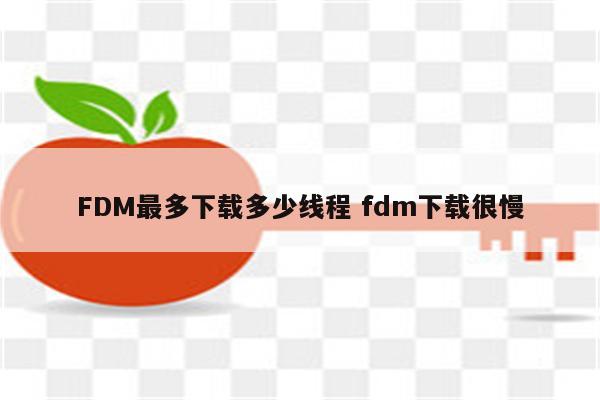 FDM最多下载多少线程 fdm下载很慢