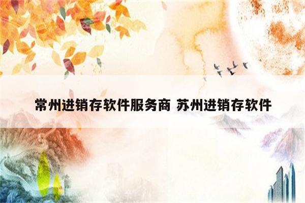 常州进销存软件服务商 苏州进销存软件