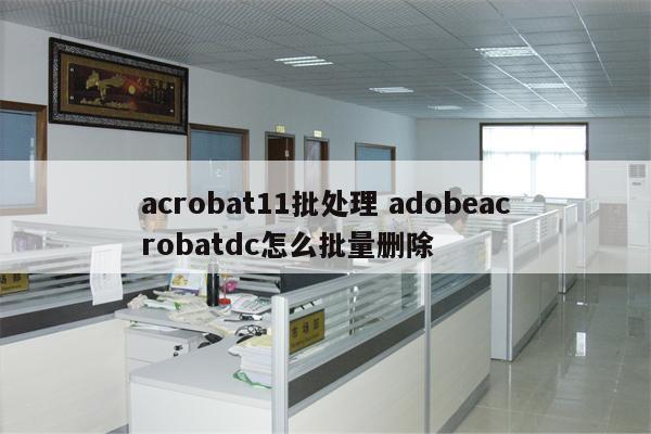 acrobat11批处理 adobeacrobatdc怎么批量删除