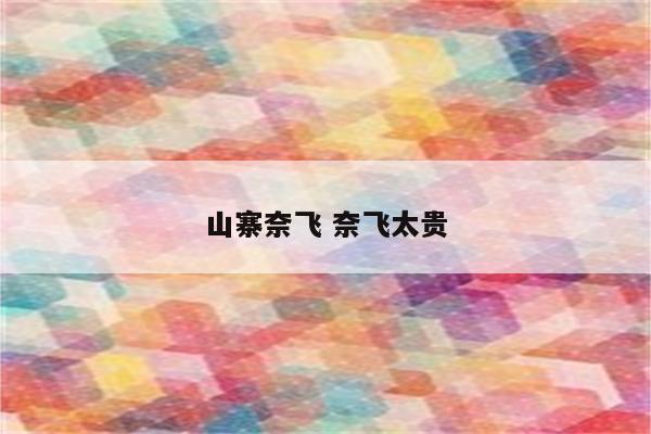 山寨奈飞 奈飞太贵