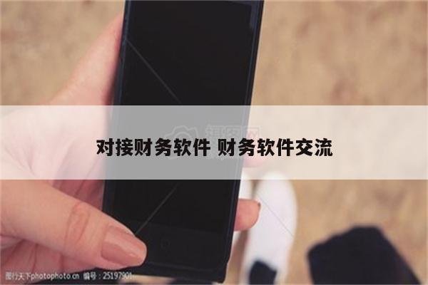 对接财务软件 财务软件交流