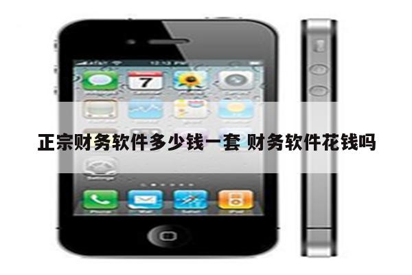 正宗财务软件多少钱一套 财务软件花钱吗
