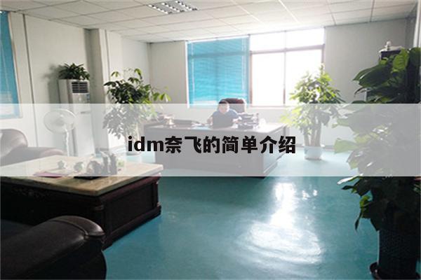 idm奈飞的简单介绍