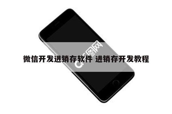 微信开发进销存软件 进销存开发教程