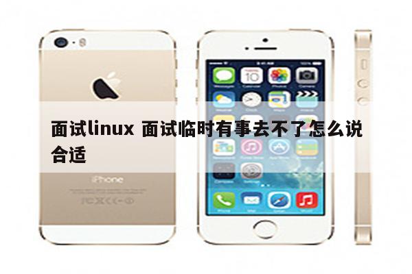 面试linux 面试临时有事去不了怎么说合适
