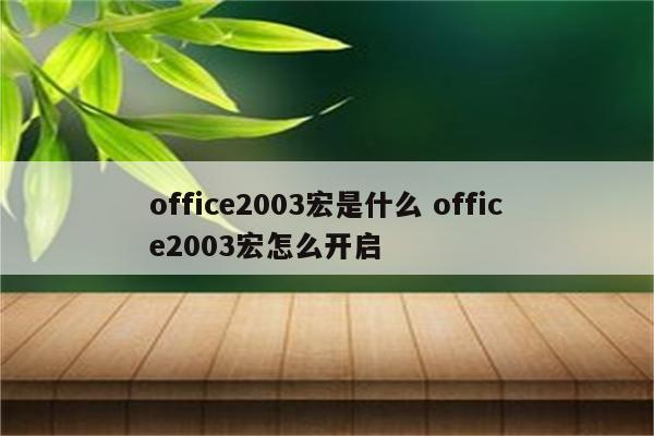 office2003宏是什么 office2003宏怎么开启