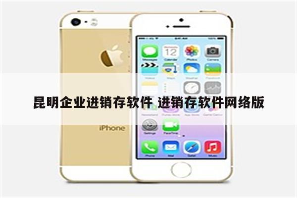 昆明企业进销存软件 进销存软件网络版