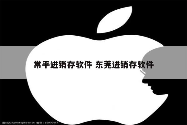 常平进销存软件 东莞进销存软件