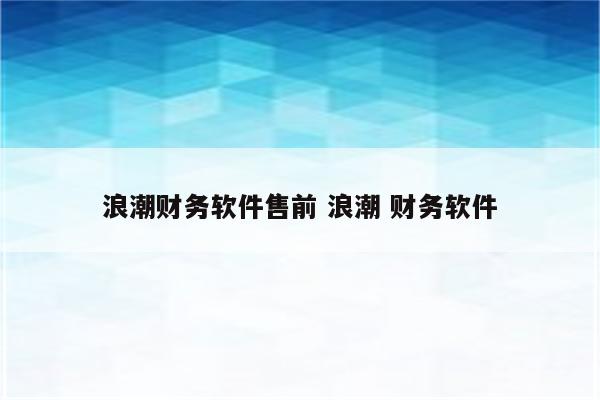 浪潮财务软件售前 浪潮 财务软件