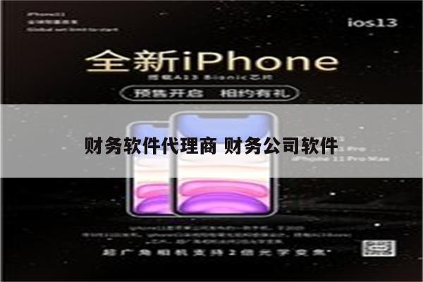 财务软件代理商 财务公司软件
